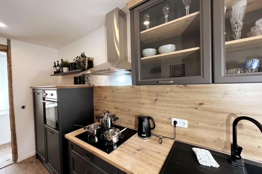 Ar Apartments III I 4 Pers I Modern I Schillerapartment Rudolstadt Kültér fotó
